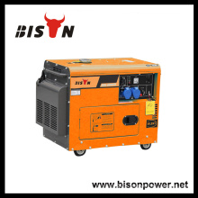 BISON(CHINA)10kw 10kva 10000w Diesel Silent Generator